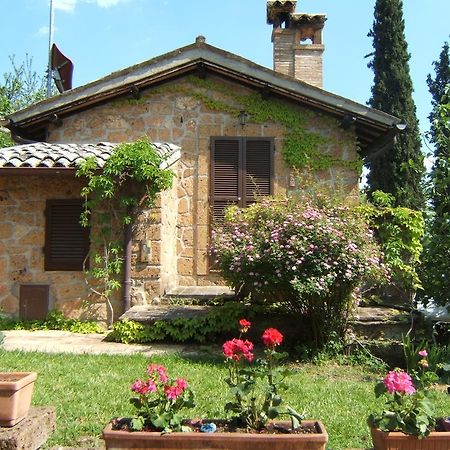 B&B Casaselita Orvieto Buitenkant foto