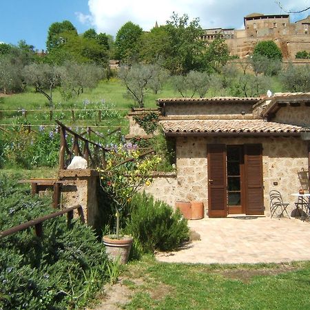 B&B Casaselita Orvieto Buitenkant foto