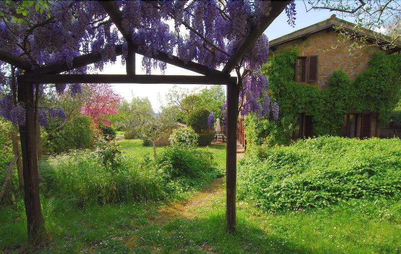 B&B Casaselita Orvieto Buitenkant foto
